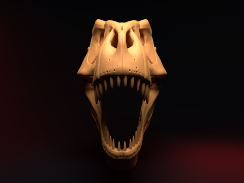 T-REX SKULL 3D प्रिंट मॉडल