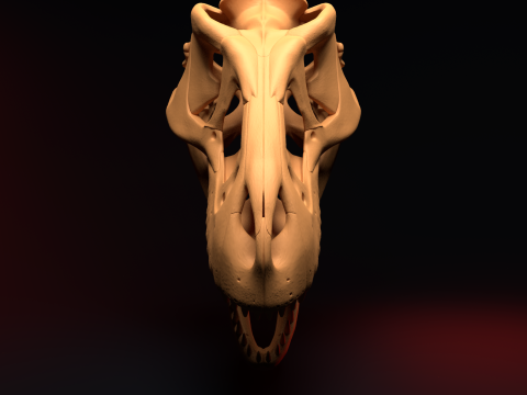 T-REX SKULL 3D प्रिंट मॉडल