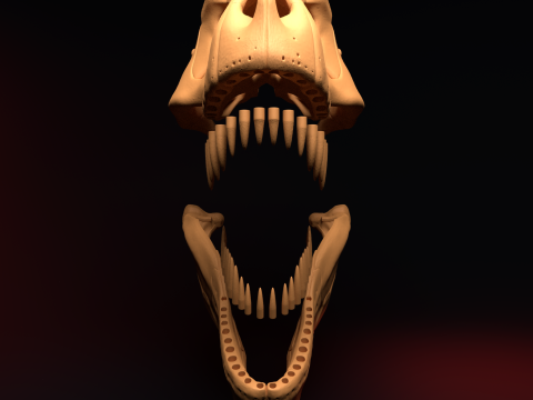 T-REX SKULL 3D प्रिंट मॉडल