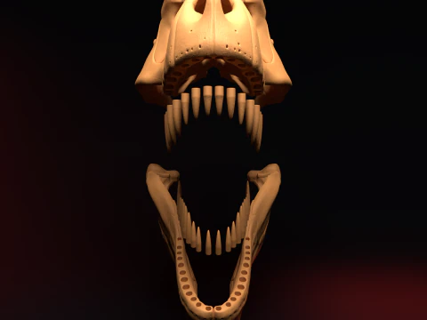 T-REX SKULL 3D Print Model