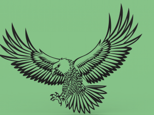 Falcon Model 3D