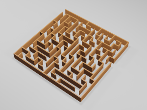 5 labyrinth 3D Model