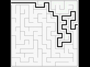 5 labyrinth 3D Model