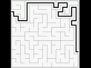5 labyrinth 3D Model