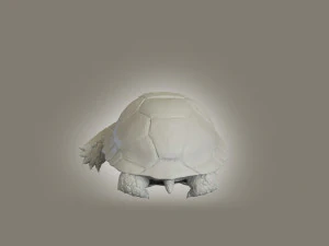 turtle 3D Model
