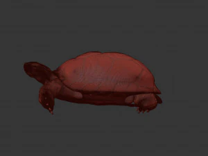 turtle 3D Model
