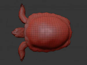 turtle 3D Model