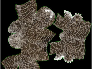 turtle 3D Model