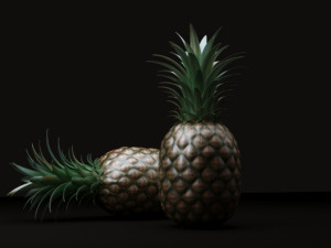 Pineapple 3Dモデル