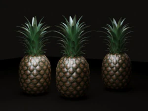 Ananas Modèle 3D