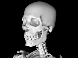 Man skeleton - human skeleton 3D Model