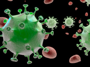 Covid 19 coronavirus 3D Model