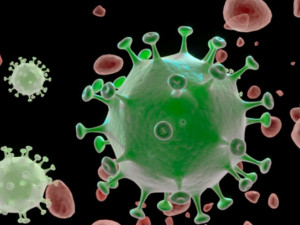 Covid 19 coronavirus 3D Model