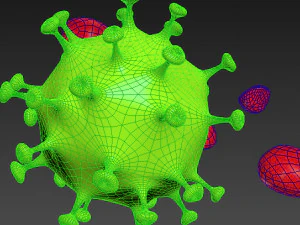 Covid 19 coronavirus 3D Model