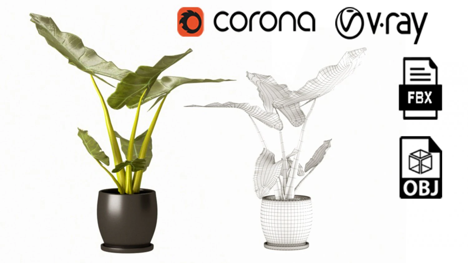 Indoor plant 02 3D Model .c4d .max .obj .3ds .fbx .stl .blend