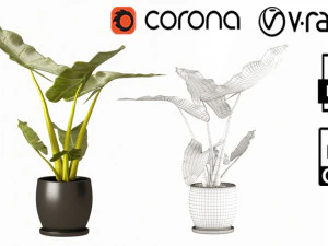 Planta de interior 02 Modelo 3D