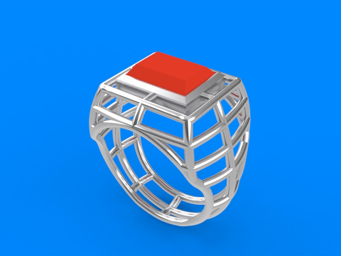 Mens Net Ring 3D Принт Модель