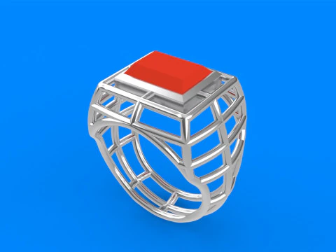 Mens Net Ring 3D Print Model