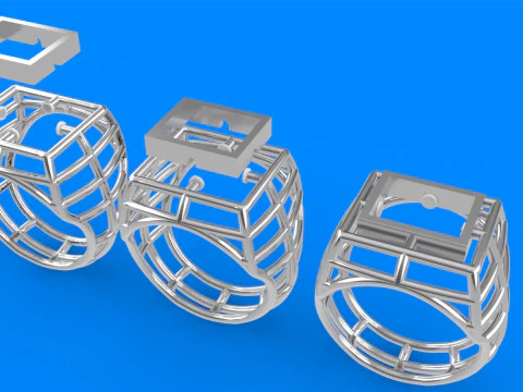 Mens Net Ring 3D Print Model