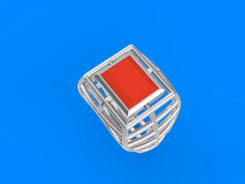 Mens Net Ring 3D Print Model
