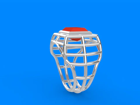 Mens Net Ring 3D Print Model