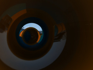 sea flower island 3D 模型