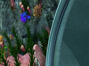 underwater world 3D Model