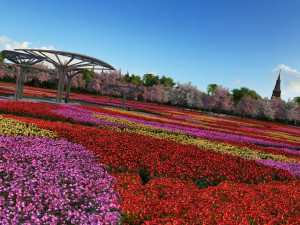 flower sea 3D Model