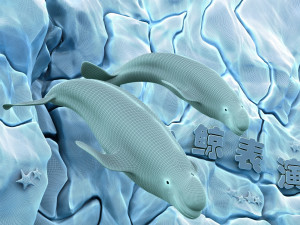 whale show 3D Модель