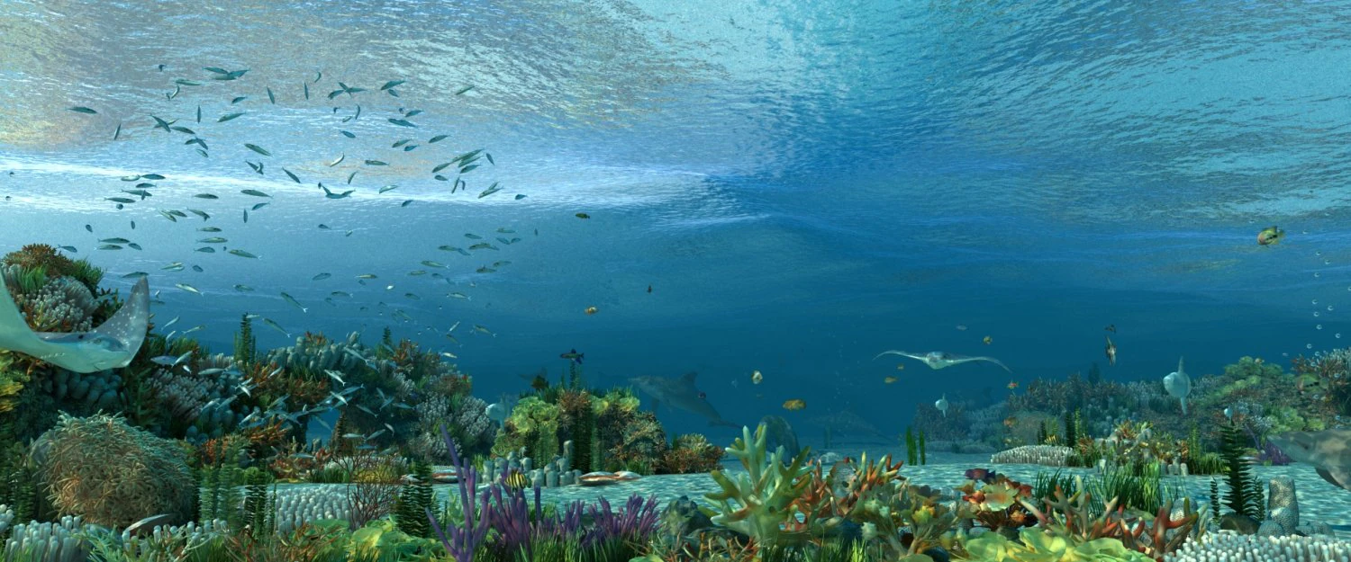 seabed 3D Model .c4d .max .obj .3ds .fbx .stl .blend