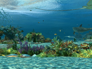 seabed 3D Model