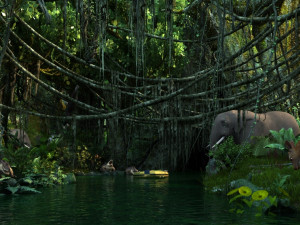 rainforest 3Dモデル