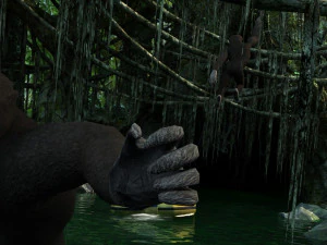rainforest 3D Model