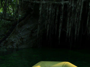rainforest 3D Model