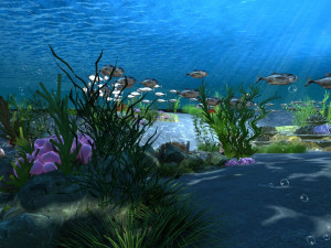 seabed 3D Model