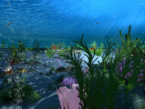seabed 3D Model