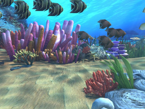 seabed Modelo 3D