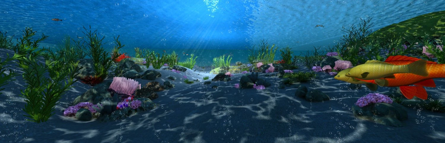 seabed 3D Model .c4d .max .obj .3ds .fbx .stl .blend