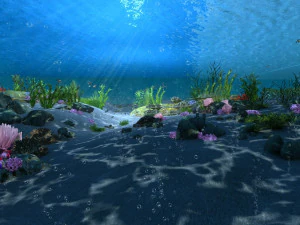 fundo do mar Modelo 3D