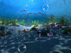 seabed 3D Model