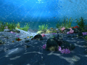 seabed 3D Model