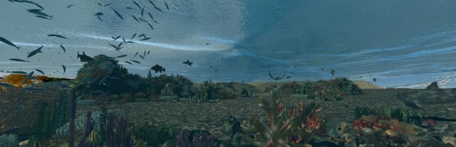 seabed 3D Model .c4d .max .obj .3ds .fbx .stl .blend 