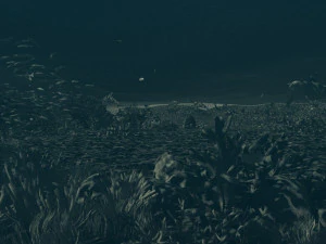 seabed 3D Model