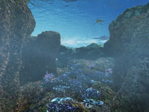 seabed 3D 模型