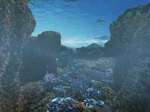 seabed 3D Model