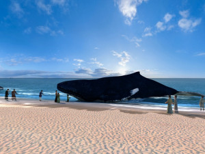 big whale 3D Model