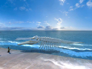 grande baleia Modelo 3D