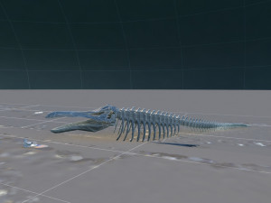 big whale Model 3D