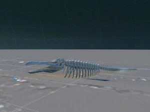 grande baleia Modelo 3D
