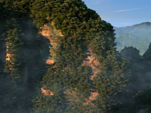 huangshan Modelo 3D
